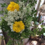 今週のお花　　　上通り美容室 上乃裏通り Objetオブジェ