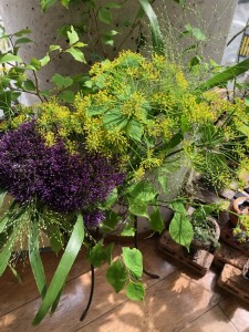 今週のお花　　　上通り美容室 上乃裏通り Objetオブジェ